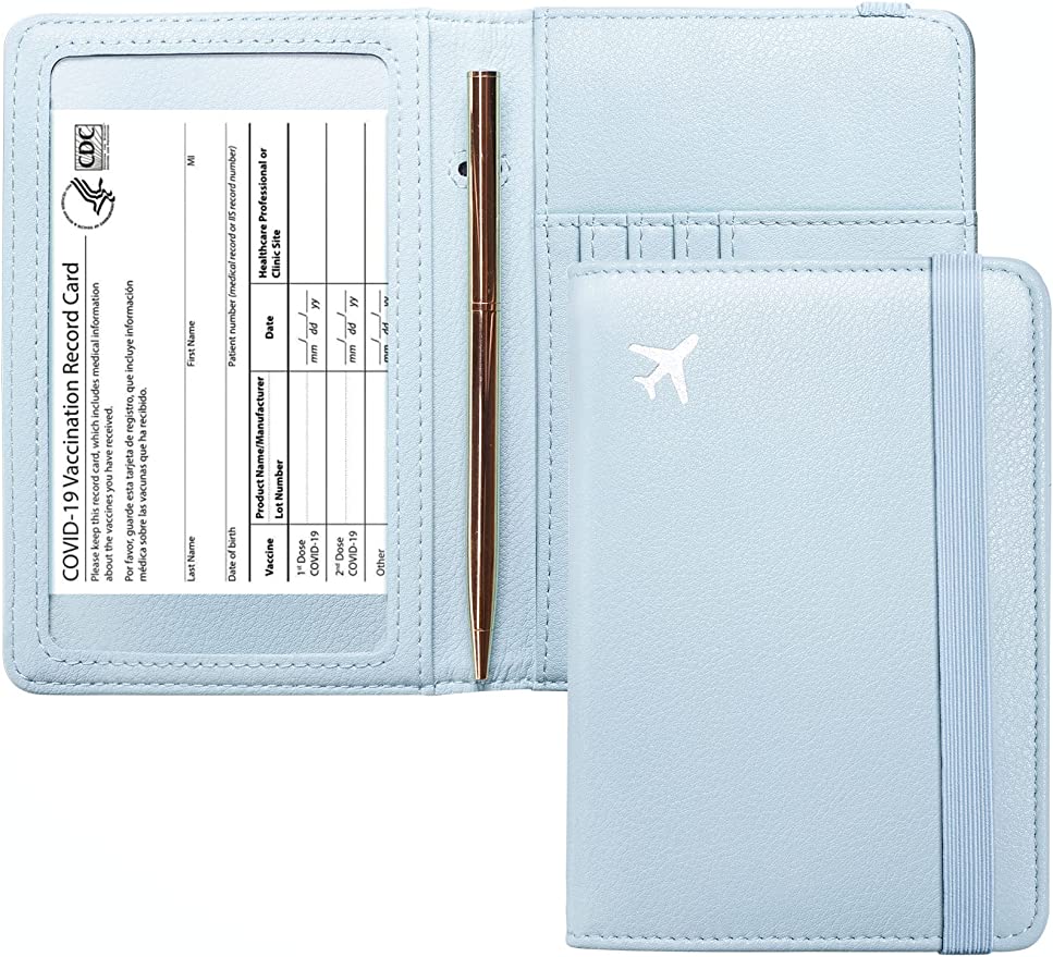 blue travel passport